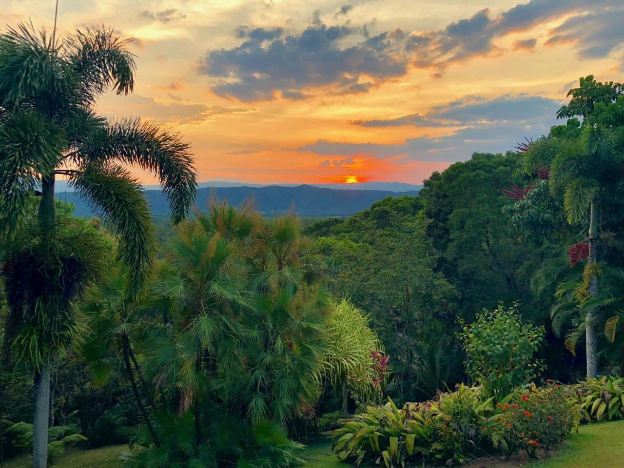 Daintree Manor B&B Kültér fotó