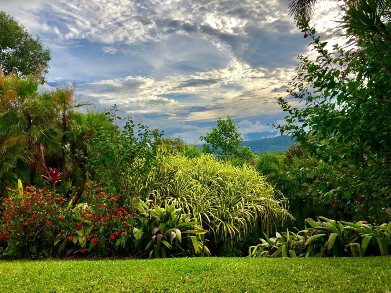 Daintree Manor B&B Kültér fotó