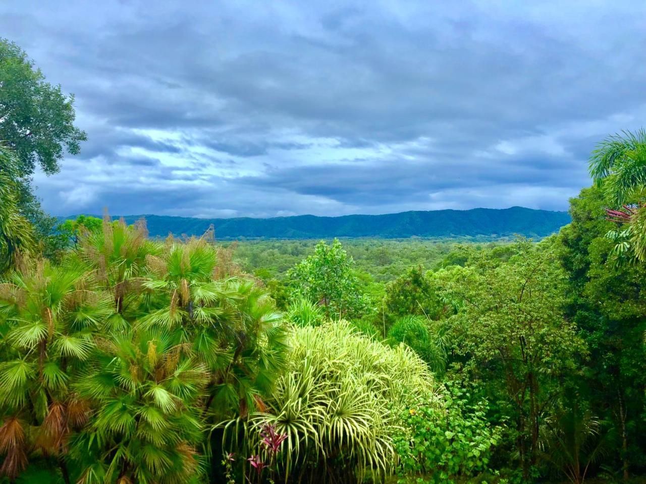 Daintree Manor B&B Kültér fotó